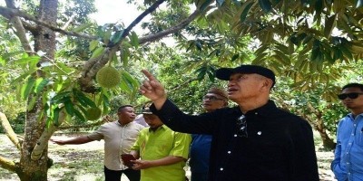 Bupati Pohuwato Ajak Para Camat  Pelajari Manajemen Perusahaan Pertanian Durian di Sulteng
