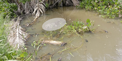 Kanit Reskrim Pontang Tutup Mulut soal Penemuan Mayat di Sungai